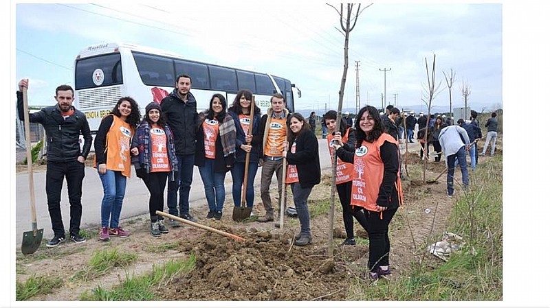 Ağaç Dikme Projesi